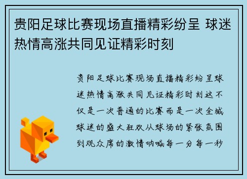 贵阳足球比赛现场直播精彩纷呈 球迷热情高涨共同见证精彩时刻