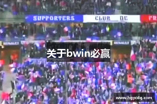 关于bwin必赢